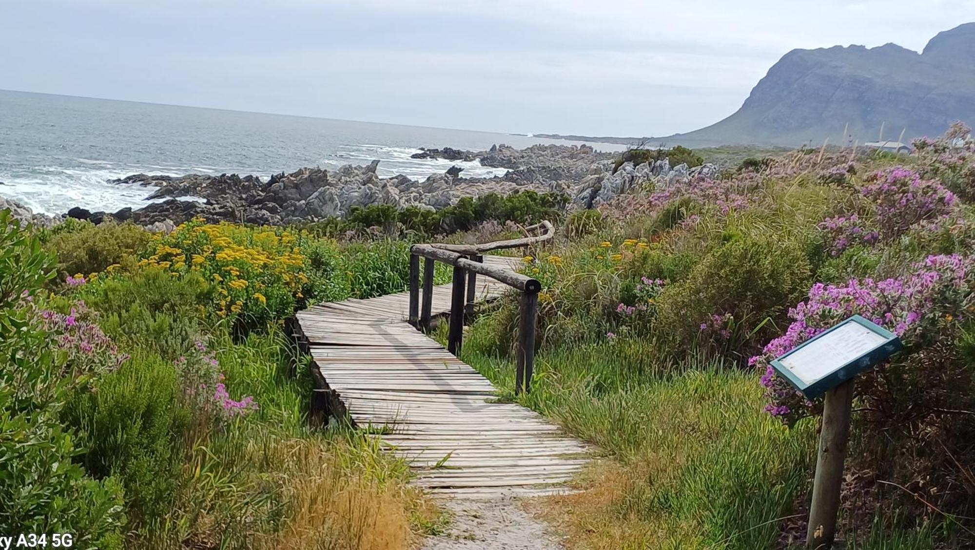 Kleinmond Panorama Holidays Экстерьер фото